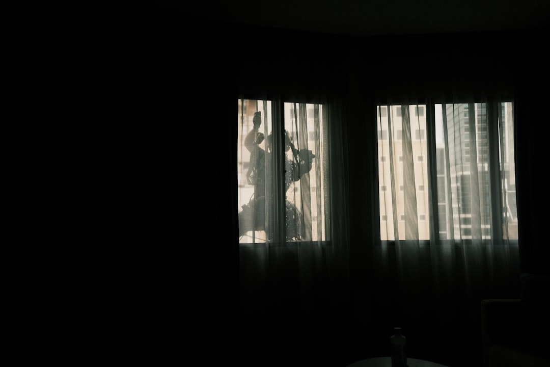 Window cleaner